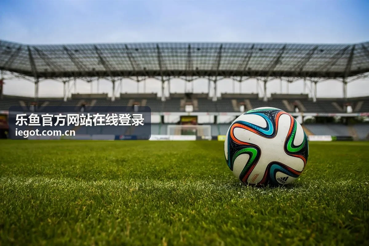 乐鱼官方网站在线登录 公共网络登录场景