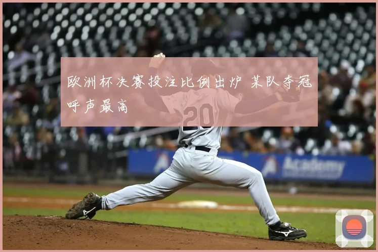 欧洲杯决赛投注比例出炉 某队夺冠呼声最高