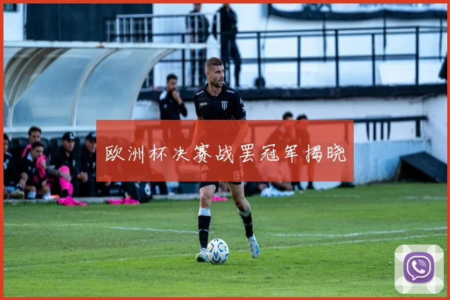 欧洲杯决赛战罢冠军揭晓