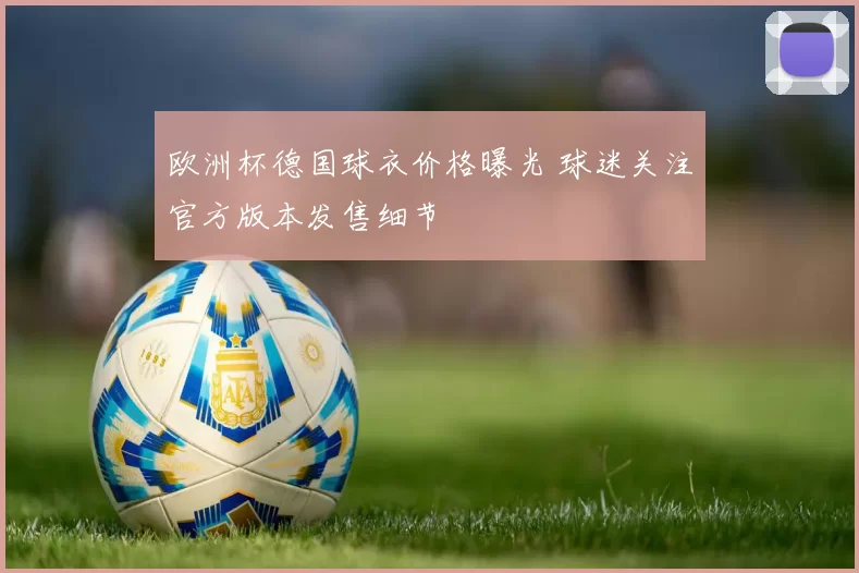 欧洲杯德国球衣价格曝光 球迷关注官方版本发售细节