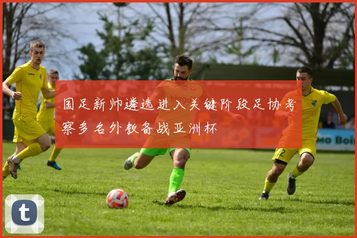 国足新帅遴选进入关键阶段足协考察多名外教备战亚洲杯