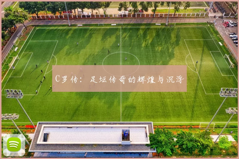 C罗传：足坛传奇的辉煌与沉浮