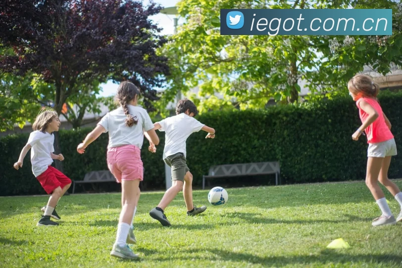 kaiyun「中国大陆」官方网站 - 智慧开云服务平台|登录入口平台生态图